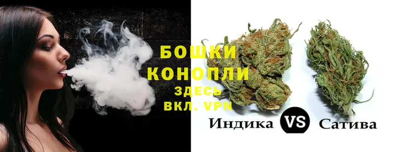 Бошки марихуана White Widow  площадка какой сайт  Каспийск  купить наркотики сайты 